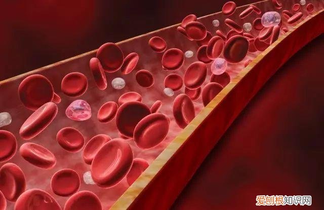 软化血管的5大误区您知道几个？提醒：延缓血管硬化需注意4点