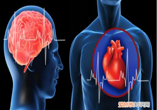 软化血管的5大误区您知道几个？提醒：延缓血管硬化需注意4点