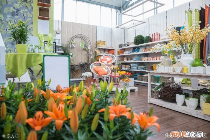 在农村开花店赚钱吗 农村开花店赚钱吗