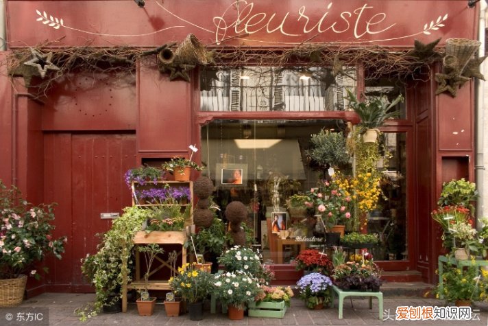 在农村开花店赚钱吗 农村开花店赚钱吗