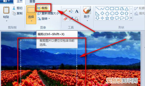 画图工具要怎么调整大小，怎样用画图修改照片比例尺寸