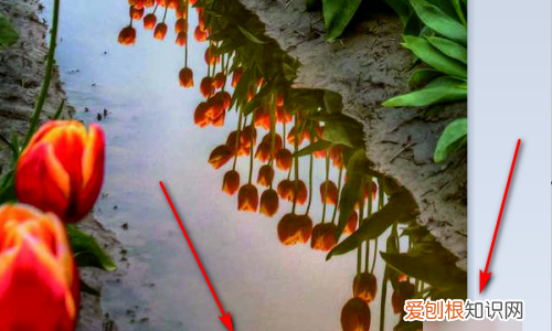 画图工具要怎么调整大小，怎样用画图修改照片比例尺寸