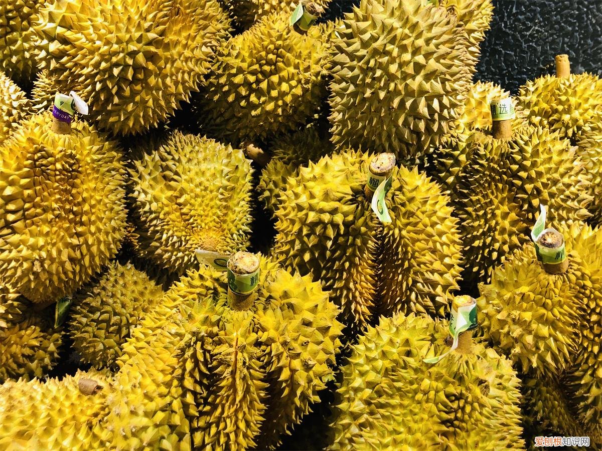 榴莲怎么挑选才肉多多 榴莲怎么选择