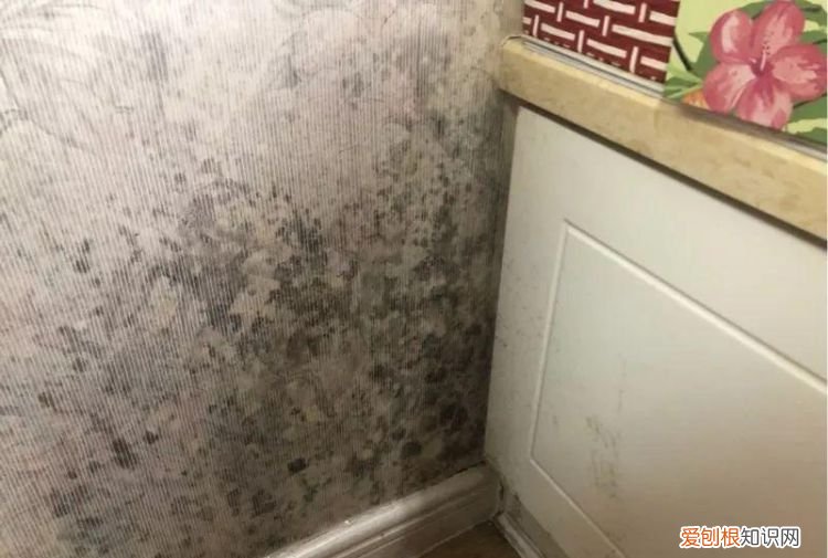 墙面渗水发霉怎么处理 墙面渗水发霉如何处理