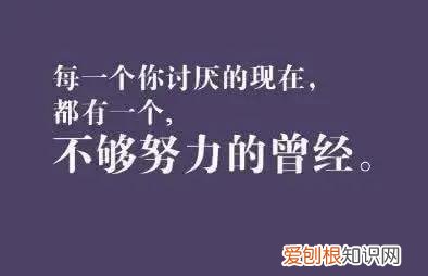 活出自己的霸道句子 带刺高冷短句