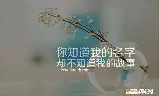 活出自己的霸道句子 带刺高冷短句