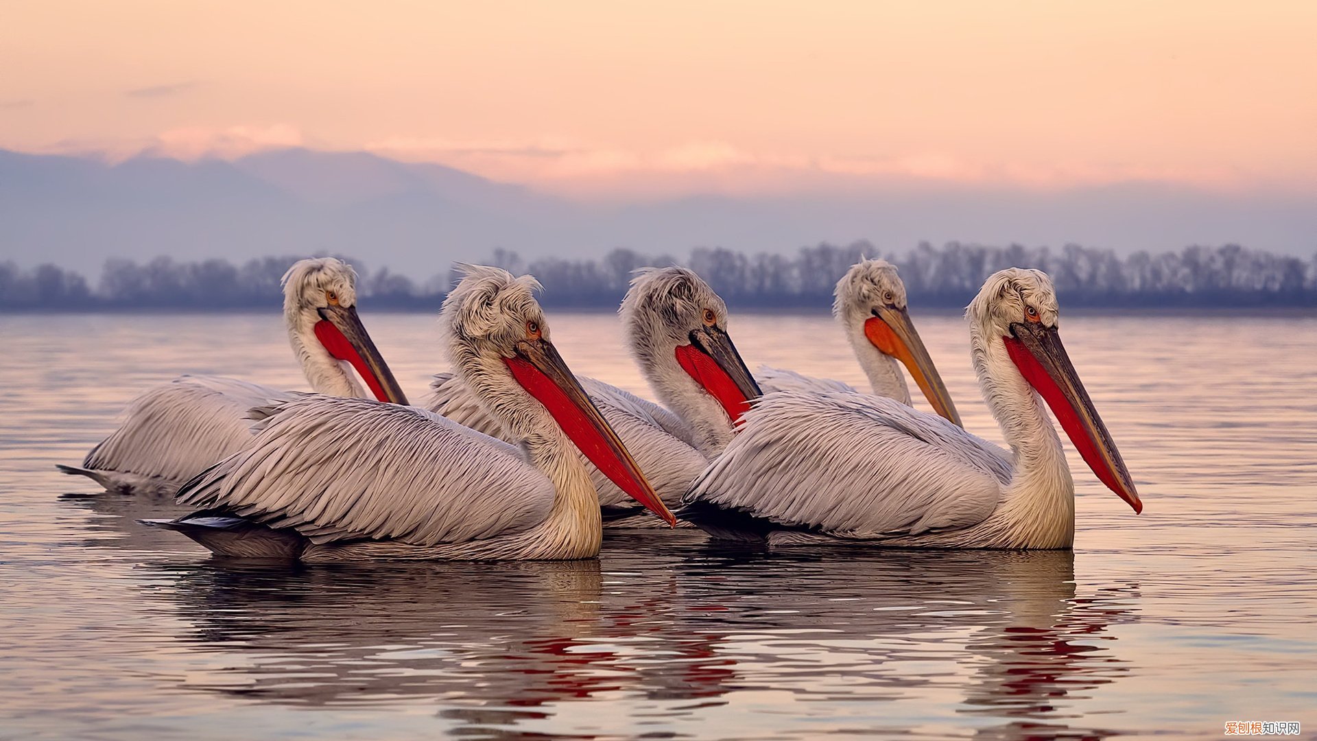 同人是什么意思?同人文是什么意思?