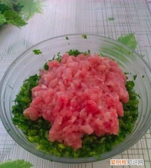 芹菜叶水饺的做法，芹菜大辣椒猪肉馅饺子的做法