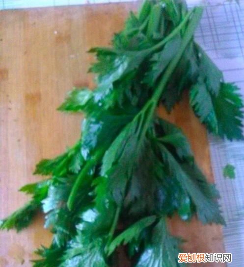 芹菜叶水饺的做法，芹菜大辣椒猪肉馅饺子的做法