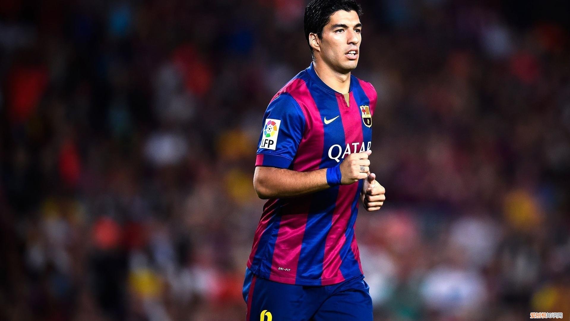 适合请客的12道家常菜 20道经典家常菜