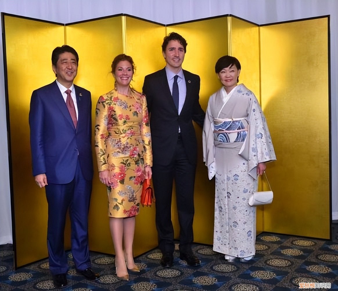 安倍老婆多少岁是哪国人,安倍昭惠为什么无法生育子女