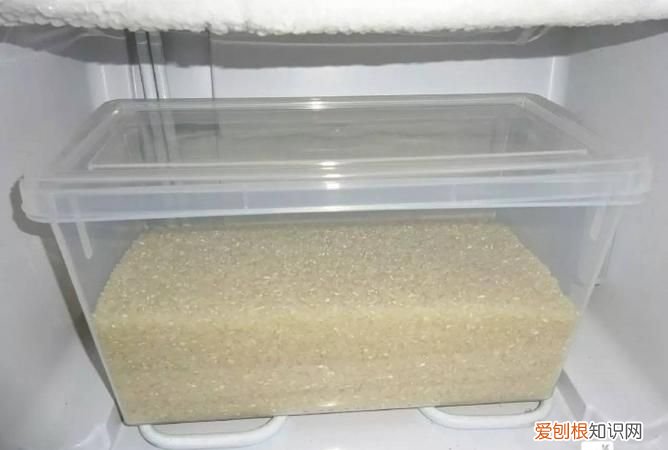 米象跑到卧室怎么消灭,米象虫爬到卧室怎么消灭