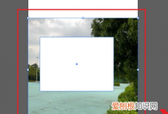 ai可以怎么裁剪，ai裁剪工具怎么自由裁剪图片