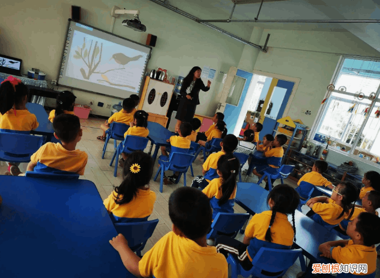 男孩被遗弃幼儿园多日母亲答应来接,背后真相令人惊愕