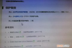 亚洲黑熊几级保护动物 亚洲黑熊属于我国几级保护动物