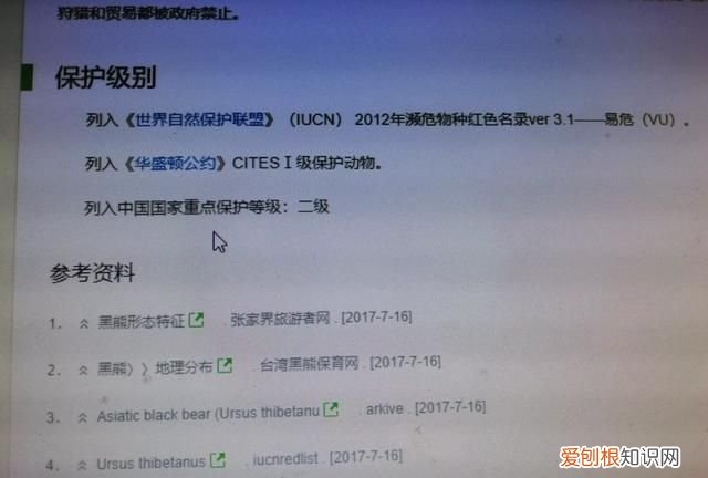 亚洲黑熊几级保护动物 亚洲黑熊属于我国几级保护动物