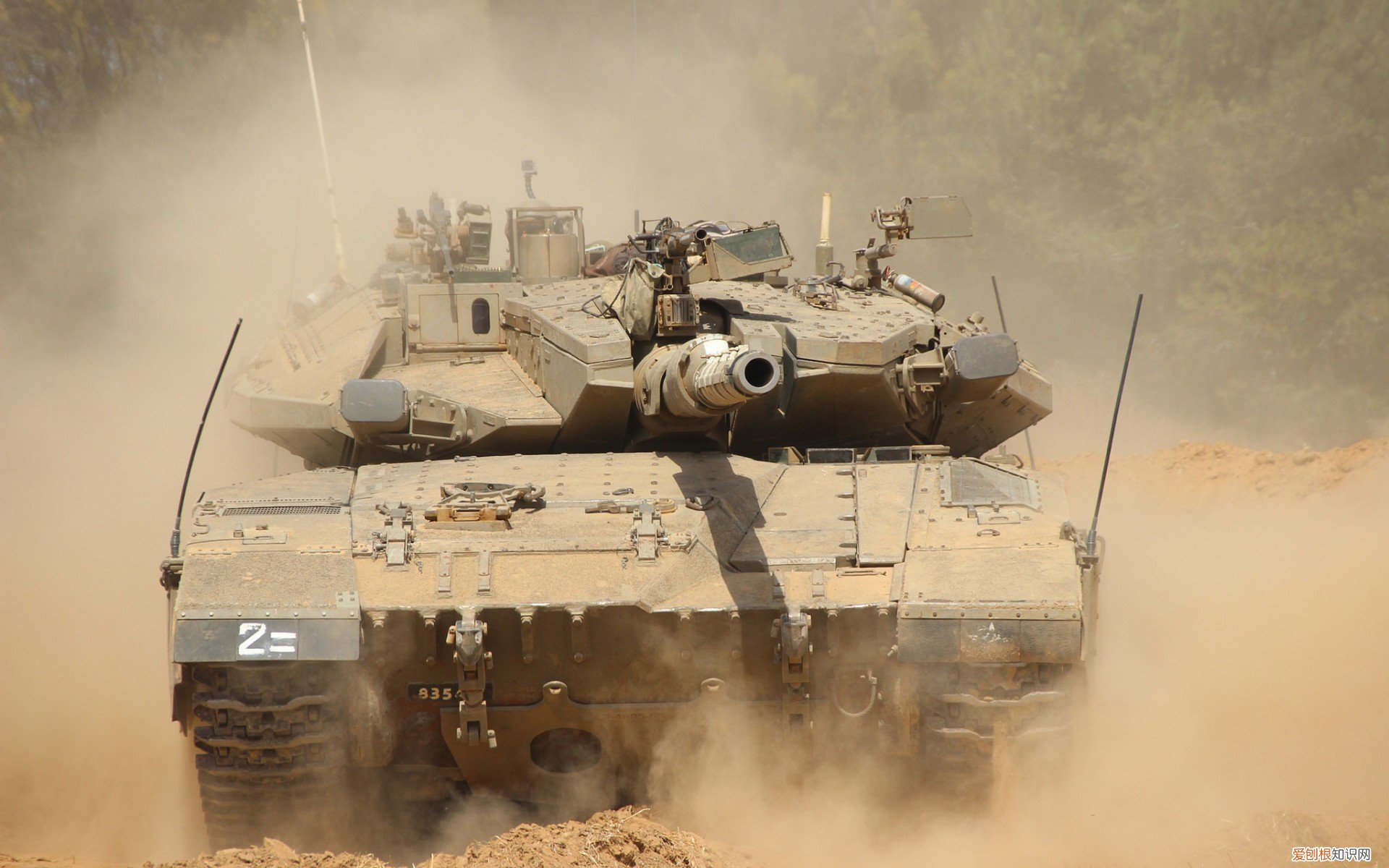 遗传学的三条基本定律是什么？请详细说明 遗传学的三条基本定律是什么？