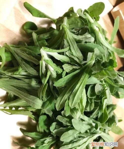 清明节可以种什么蔬菜 清明节能种什么蔬菜