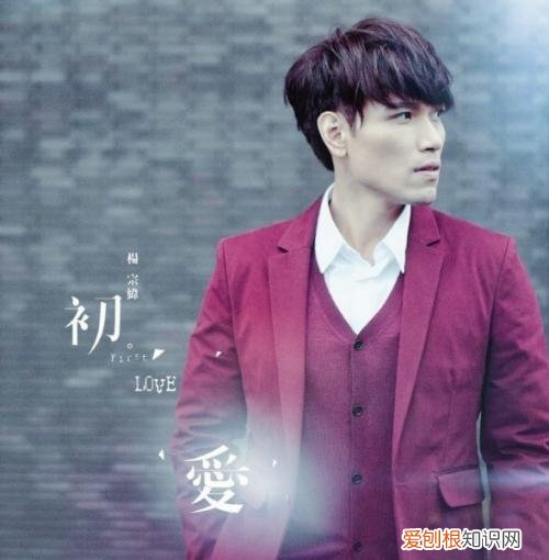 杨宗纬出了什么事不结婚 杨宗纬怎么了