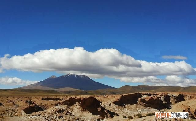 世界十大高原是青藏高原吗