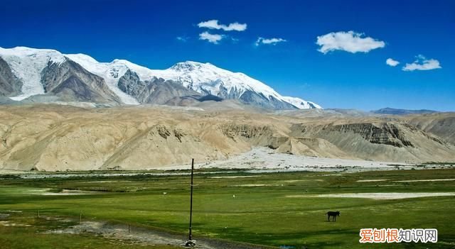 世界十大高原是青藏高原吗