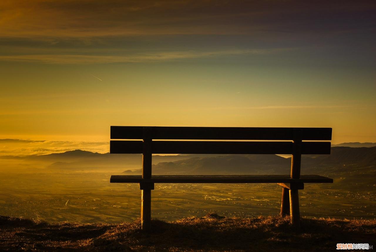 好的婚姻需要彼此包容和坚持 狮子座与狮子座的婚姻