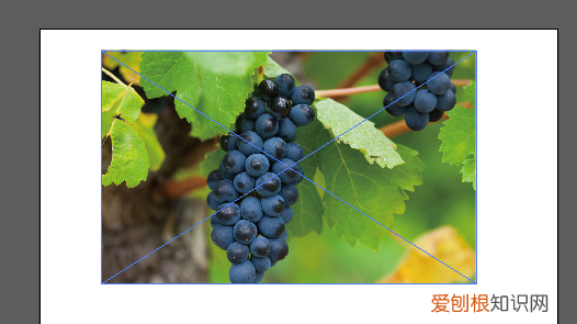 ai可以怎么把转矢量图，如何用ai将扫描件转换为矢量格式文件