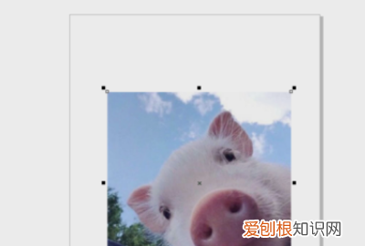 cdr裁剪工具可以怎么用，cdr怎么裁剪掉多余的部分保留原图