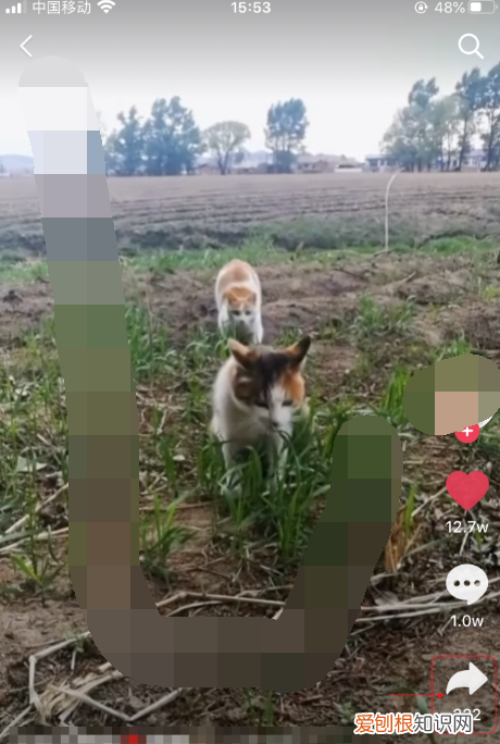 如何将抖音转发到微信，抖音怎么将链接复制到微信