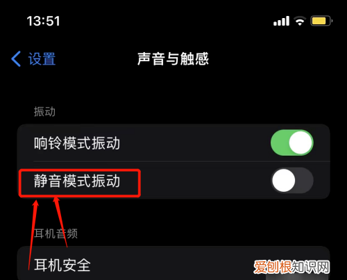 xr怎么把手机调振动，苹果xr来电闪光灯怎么设置