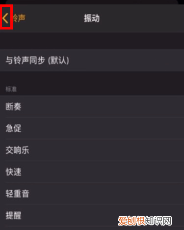 xr怎么把手机调振动，苹果xr来电闪光灯怎么设置