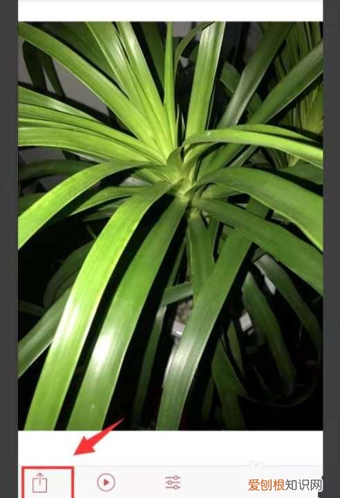 实况照片怎么发给别人才会动，实况照片怎么发给朋友也是实况照片