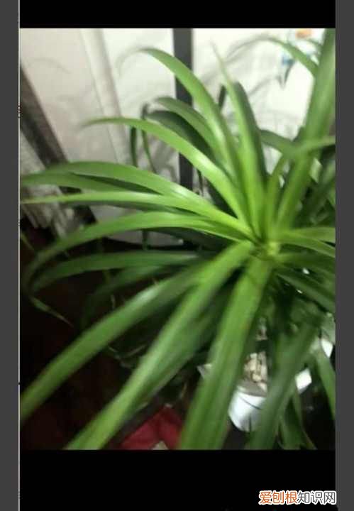 实况照片怎么发给别人才会动，实况照片怎么发给朋友也是实况照片