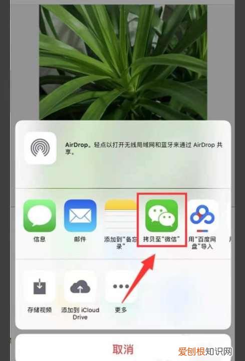 实况照片怎么发给别人才会动，实况照片怎么发给朋友也是实况照片
