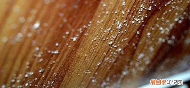 卫生间发霉怎么处理 卫生间发霉如何处理