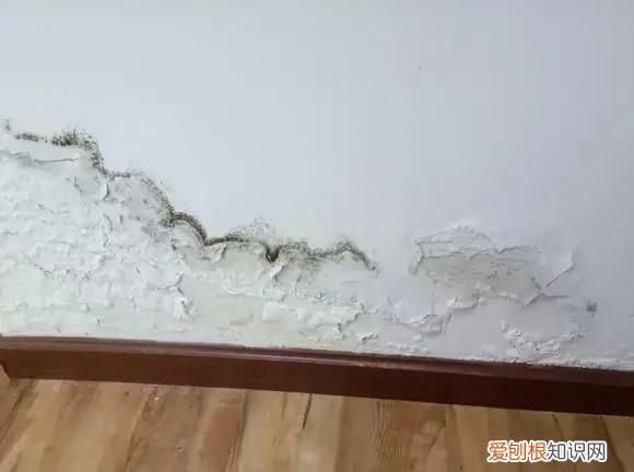 卫生间发霉怎么处理 卫生间发霉如何处理