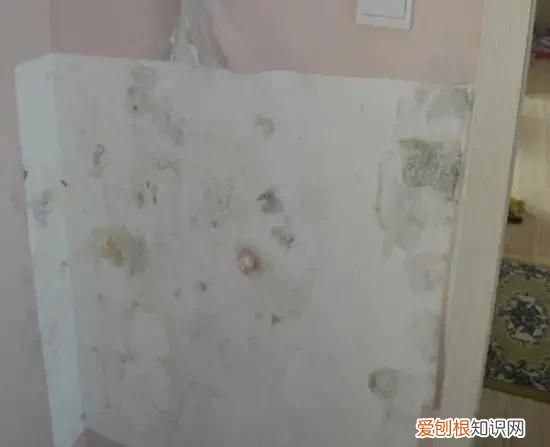 卫生间发霉怎么处理 卫生间发霉如何处理