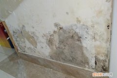 墙面返潮发霉怎么处理 墙面返潮发霉如何处理