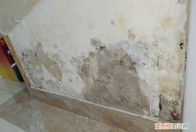 墙面返潮发霉怎么处理 墙面返潮发霉如何处理