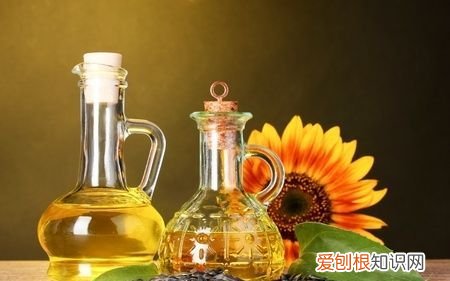 植物油包括哪些类型 植物油包括的类型