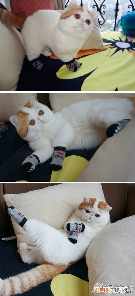 秋天的饮食和养生的原则