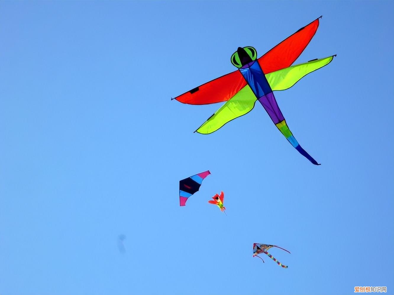 三年级放风筝满分作文 三年级放风筝作文