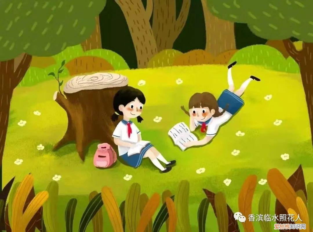 三年级放风筝满分作文 三年级放风筝作文