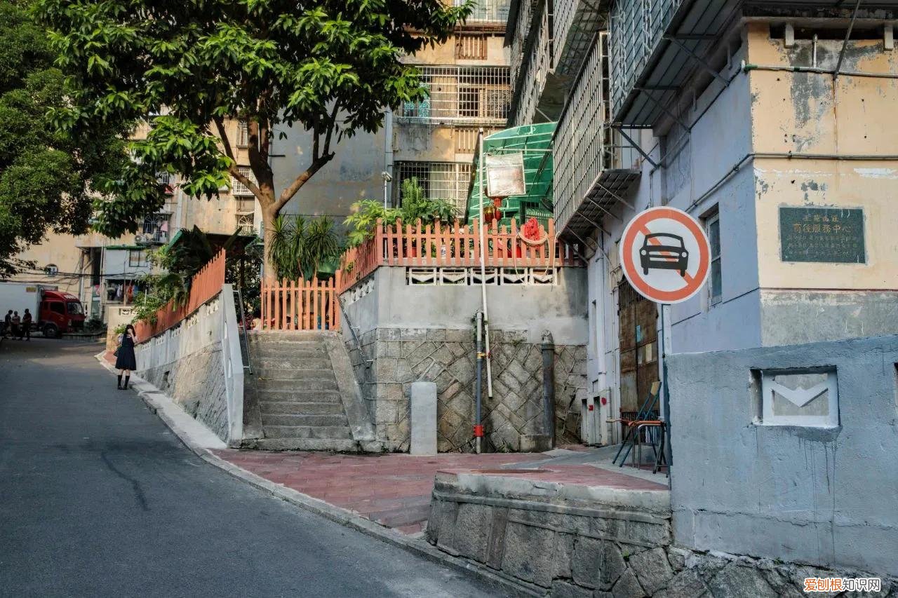 青春创世纪电视剧免费全集 青春创世纪,电视剧