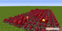 地狱疣怎么催熟，我的世界地狱疣怎么快速生长
