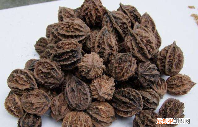 核桃壳怎样沤肥 核桃壳如何沤肥