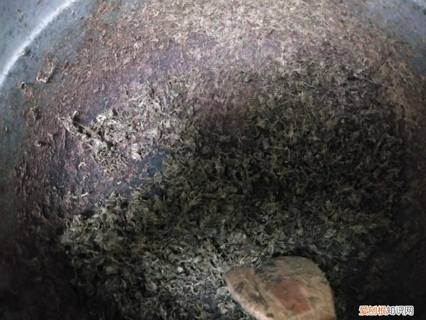 槐米茶怎么做呢