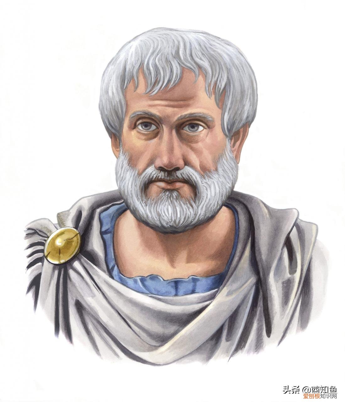 八大行星公转方向 八大行星