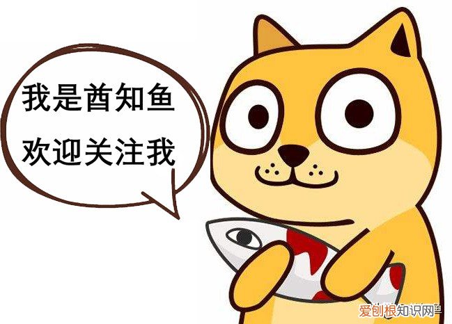 八大行星公转方向 八大行星