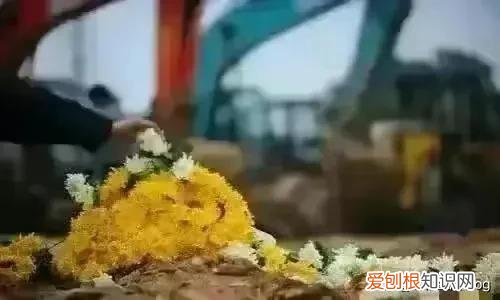 东航事故原因最新消息知乎 东航事故原因最新消息